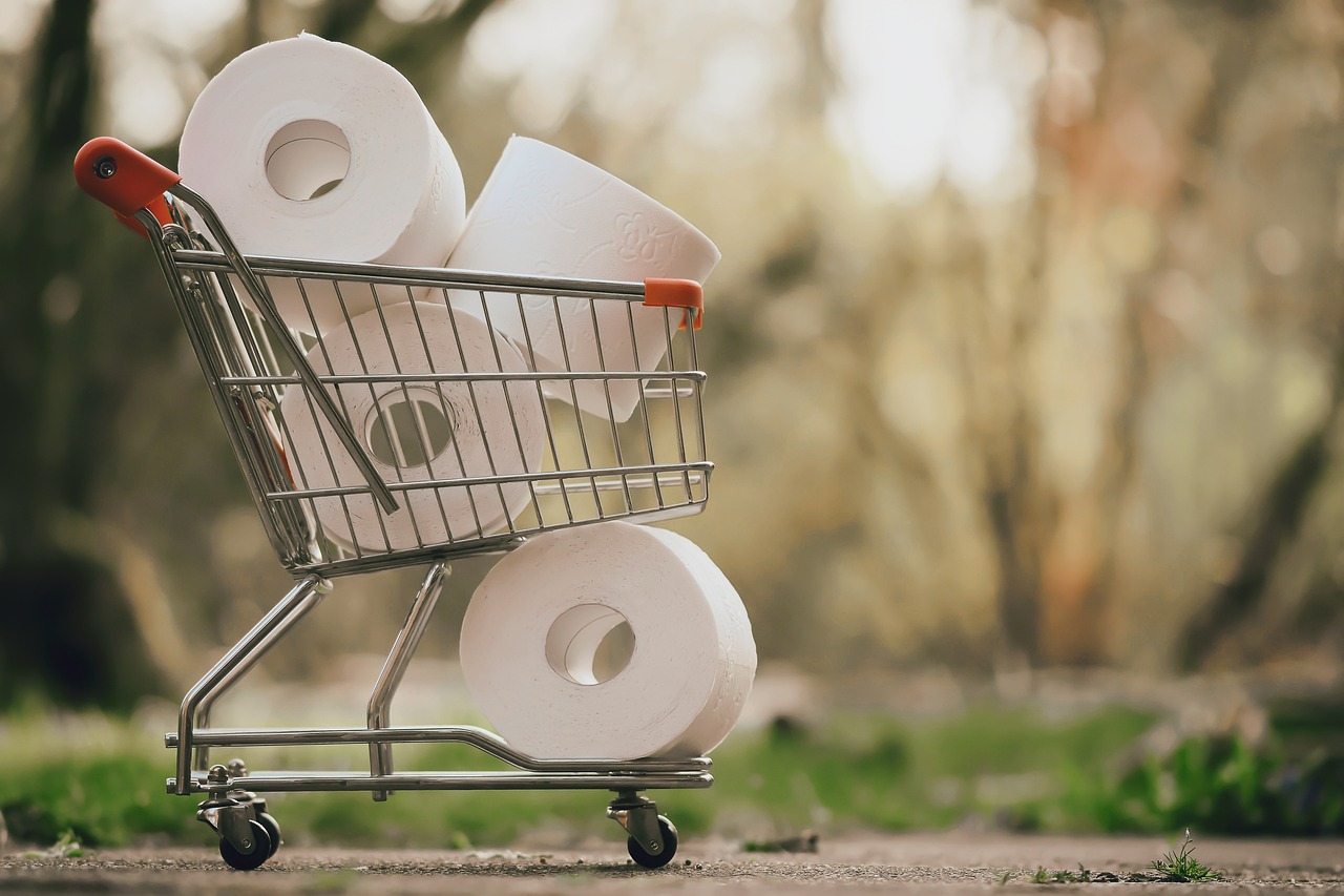 Making Sustainable Choices - A Beginner's Guide to Green Shopping